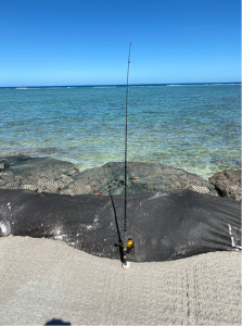 One of 60 fishing rod holders installed along Kamehameha Highway between Hauula and Kualoa.