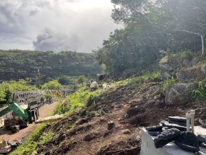 Native plantings on slope above Waimea Bay